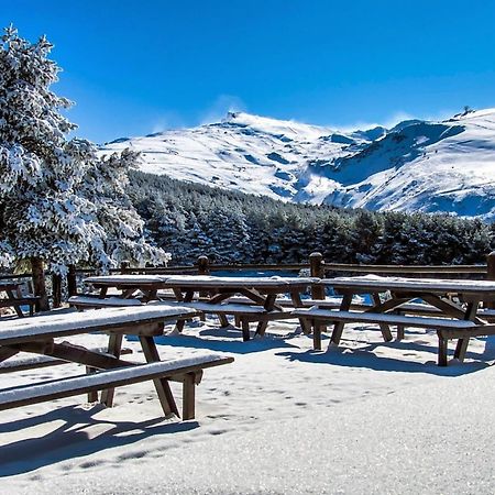 Todosierranevada Zona Baja - Apartamentos De 4 Dormitorios - Junto A Los Telecabinas Sierra Nevada Eksteriør billede