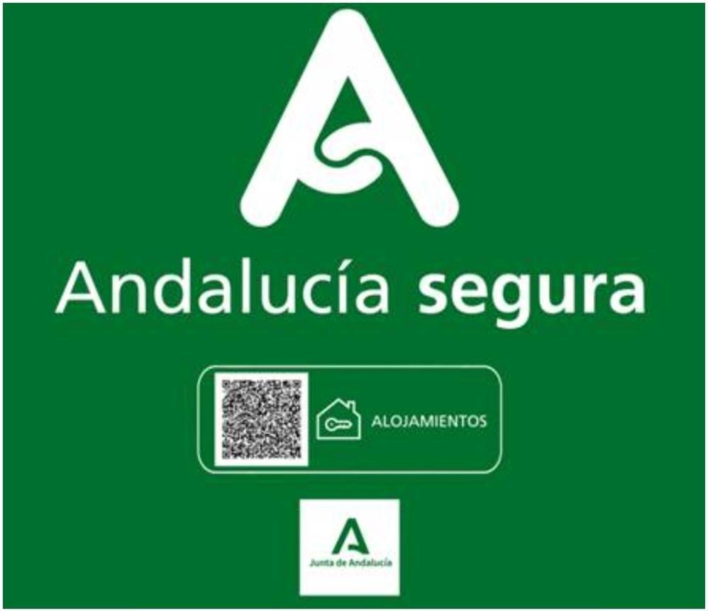 Todosierranevada Zona Baja - Apartamentos De 4 Dormitorios - Junto A Los Telecabinas Sierra Nevada Eksteriør billede
