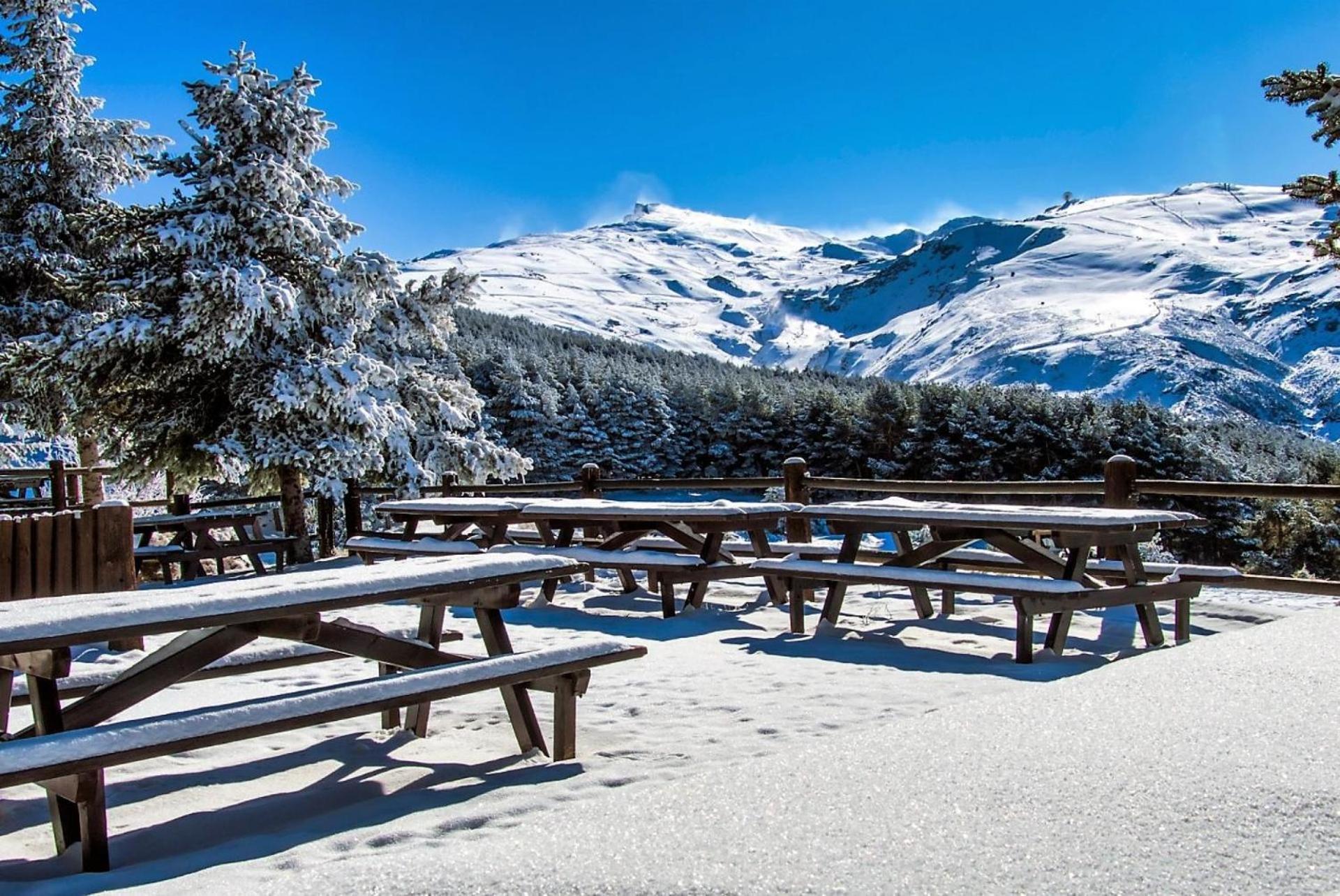Todosierranevada Zona Baja - Apartamentos De 4 Dormitorios - Junto A Los Telecabinas Sierra Nevada Eksteriør billede